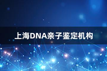 上海DNA亲子鉴定机构